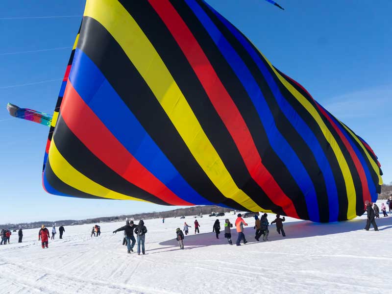 buffalo kites on ice