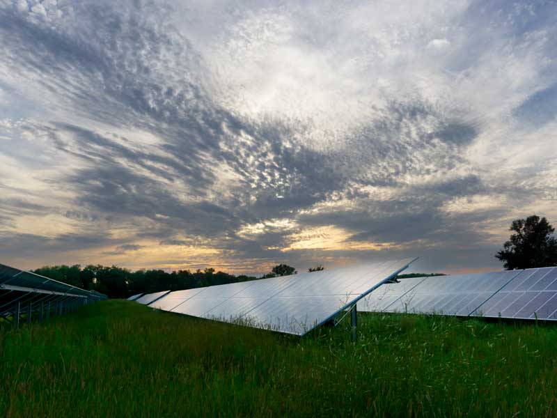 solar panels